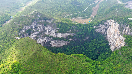 Discovery of a primitive forest at the bottom of a ‘giant sinkhole’ in ...